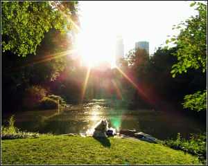 Good Morning Poems for him Sunrise over Lake