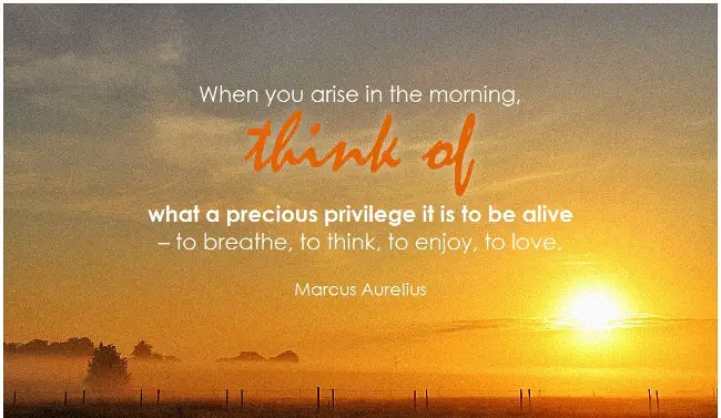 Inspirational Good Morning Messages_Marcus Aurelius_When you Arise