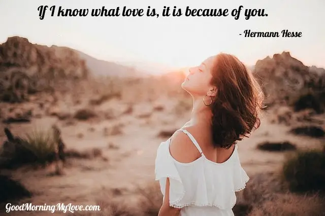 Hermann Hesse Love Quotes For Him