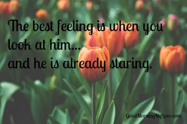 staring-love-quotes-for-him