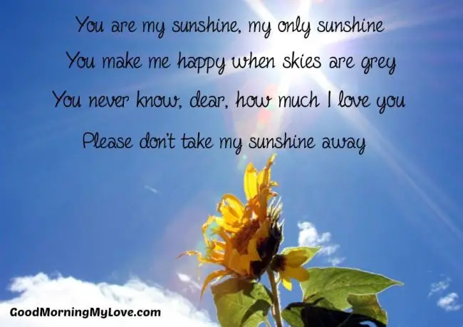 Poem for him sunshine 54 Sunshine