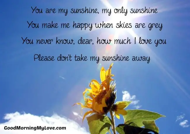 For sunshine him poem 147+ {Best}