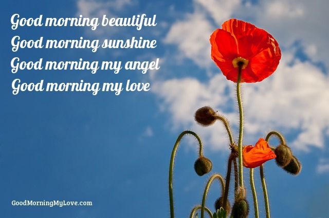 morning-love-quotes-for-her