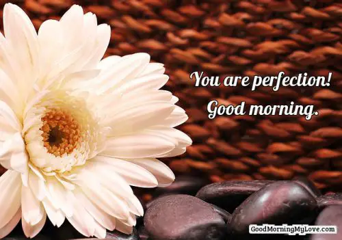 sweet good morning quotes