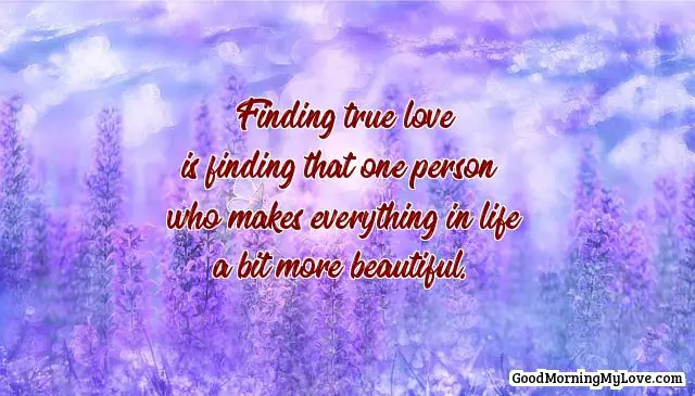 finding true love quotes