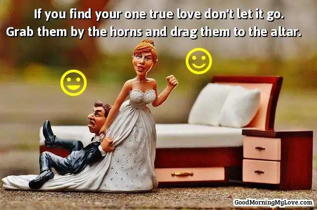 one true love quotes